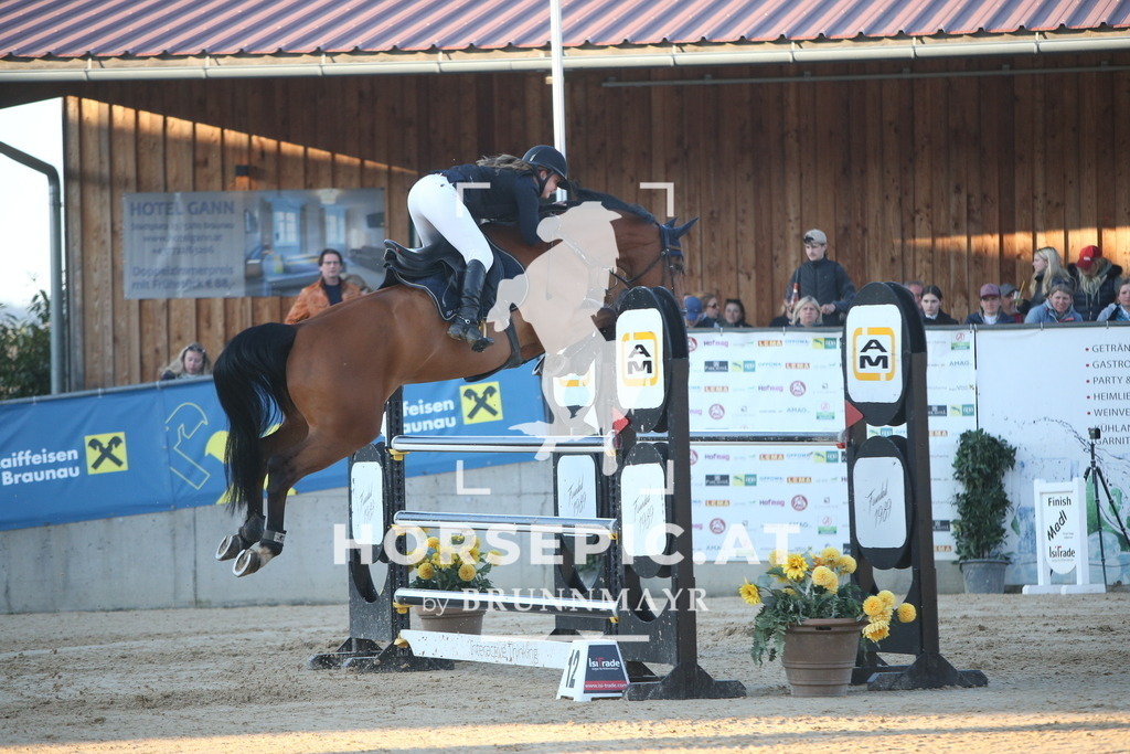 PP016509 | Willkommen bei Brunnmayr - Design & Fotografie – Ihrem Spezialisten für Reitturniere und Pferdeveranstaltungen in Oberösterreich, Salzburg und Bayern! Seit über 17 Jahren sind wir leidenschaftlich dabei.
