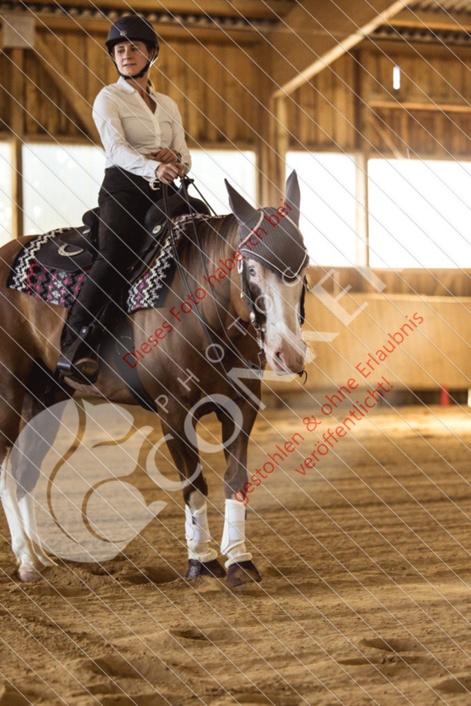 IMG_4928 | Sport-, Event- und Tierfotos in Profiqualität. Einfach auswählen, bestellen und herunterladen. Dein Moment – perfekt festgehalten.