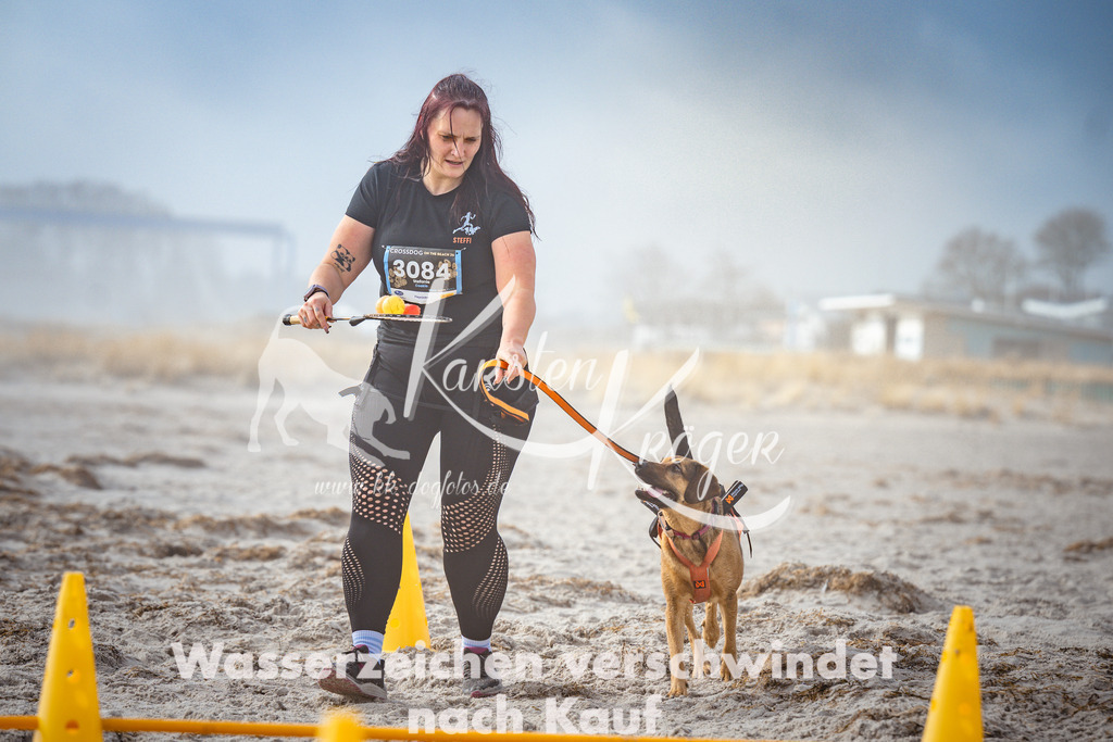 1139_ZZ99804 | kk-dogfotos