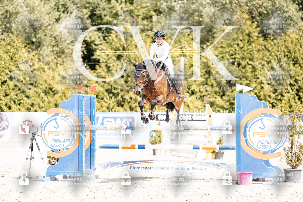 CK901014 | Turnierfotografie Pferdefotografie Trier Rheinland-Pfalz Pferdesport Reitsport Tierfotografie Sportfotografie Pferdevideo Pferdevideografie Equestrianvideography equestrianphotography  - Realisiert mit Pictrs.com