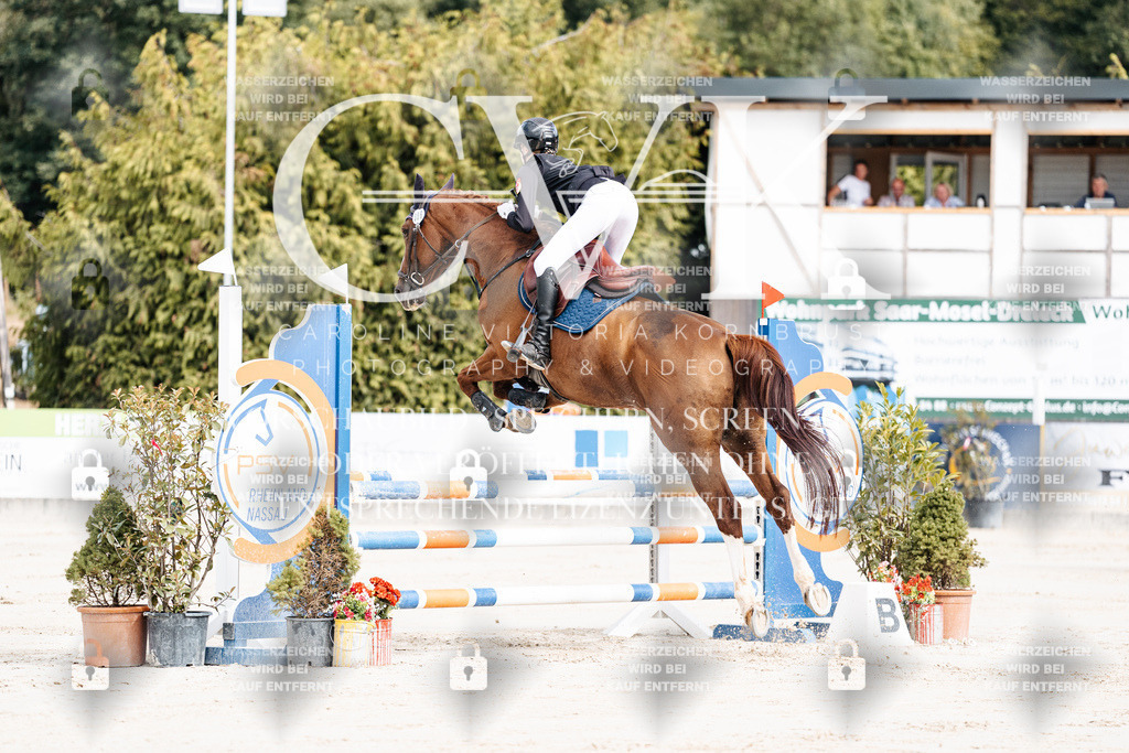 CK908880 | Turnierfotografie Pferdefotografie Trier Rheinland-Pfalz Pferdesport Reitsport Tierfotografie Sportfotografie Pferdevideo Pferdevideografie Equestrianvideography equestrianphotography  - Realisiert mit Pictrs.com