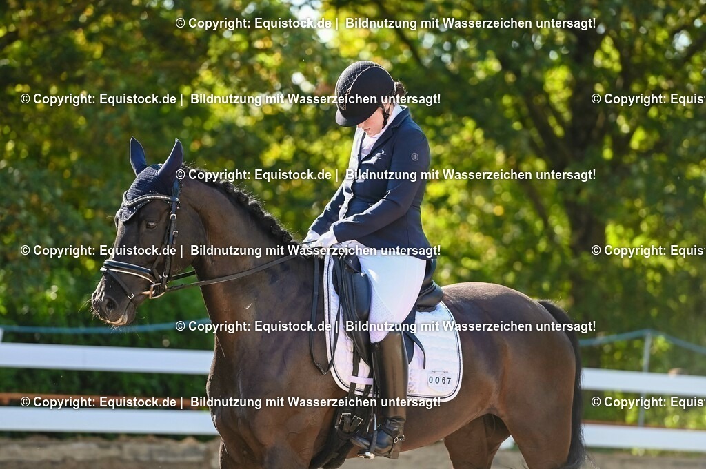20230715_06_Dressurpferdeprfg. Kl.A_0163 | equistock