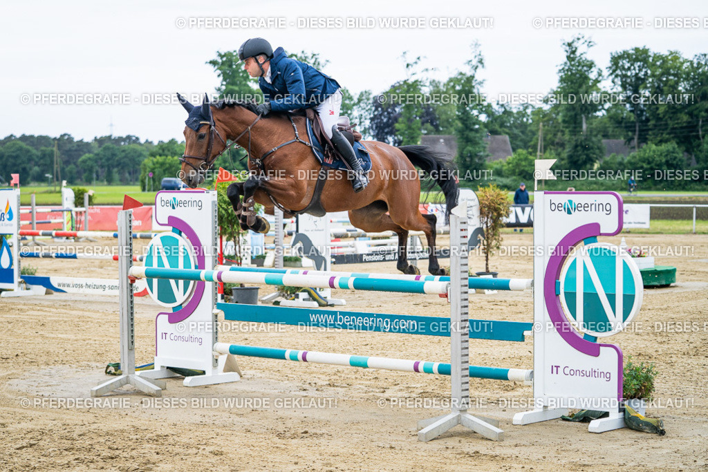 DSC04667 | Pferdegrafie