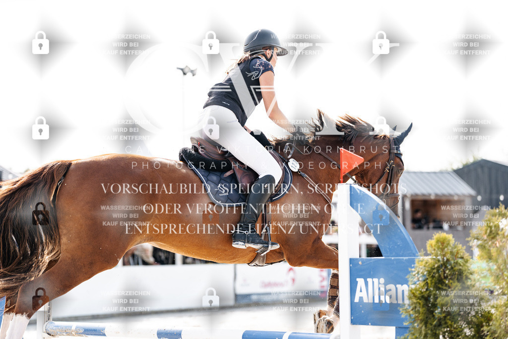 CK905703 | Turnierfotografie Pferdefotografie Trier Rheinland-Pfalz Pferdesport Reitsport Tierfotografie Sportfotografie Pferdevideo Pferdevideografie Equestrianvideography equestrianphotography  - Realisiert mit Pictrs.com