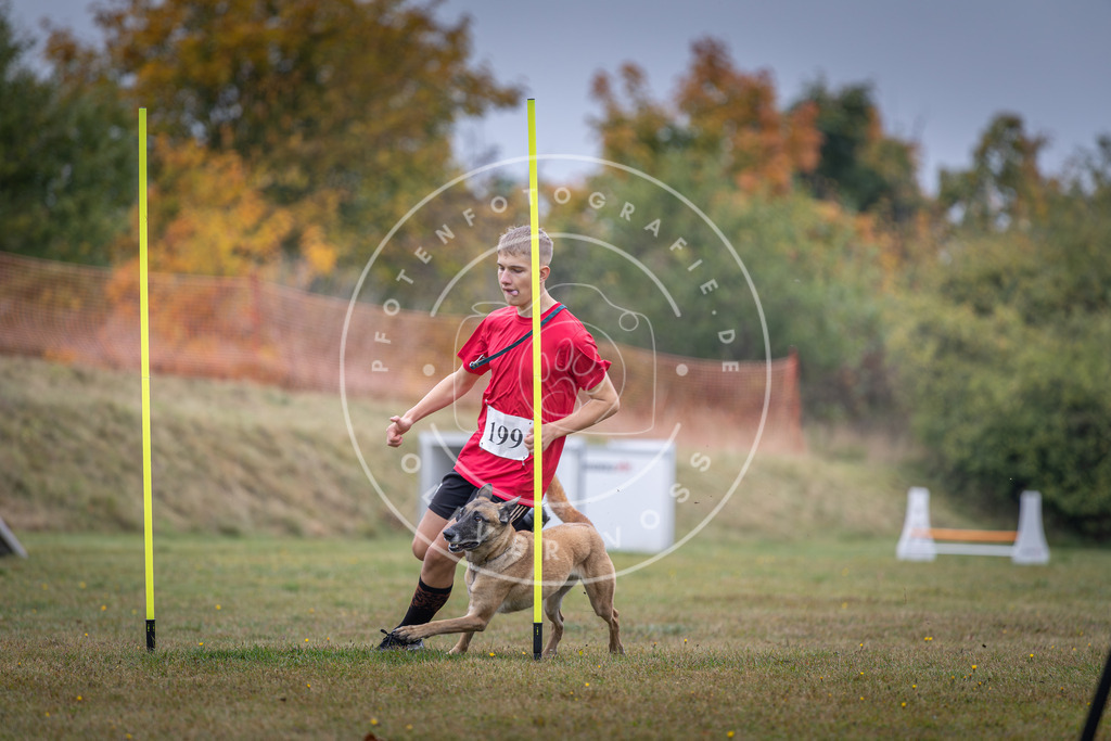 Pfotenfotografie_DV3A1182 | Hundefotografie, Tierfotograf, Pfotenfotografie, Fotoshooting Hund, Hunde Portrait, Hundesport, Hundeportraits, Heideshooting, Hunde, Sportfotograf, Hundefotograf, Turnierhundsport, THS,  - Realisiert mit Pictrs.com