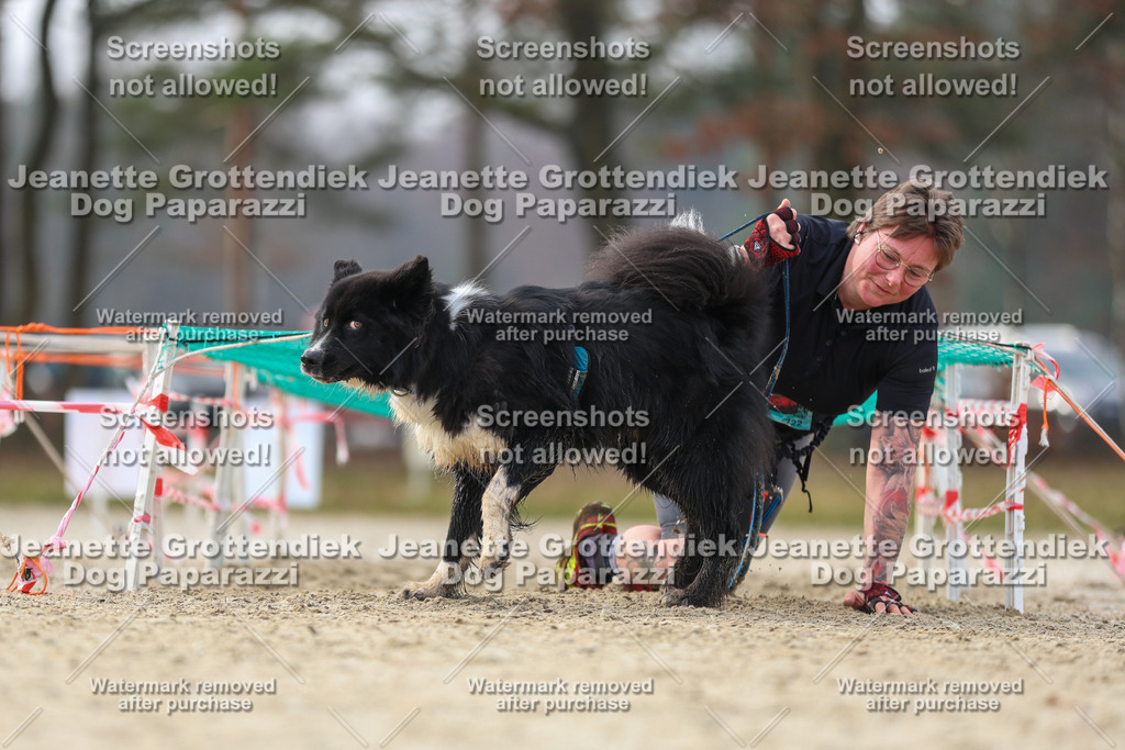 Dog Paparazzi - Strongdog North Mrz26-4745 | Dog Paparazzi Jeanette Grottendiek Fotografie & Videografie - Realisiert mit Pictrs.com