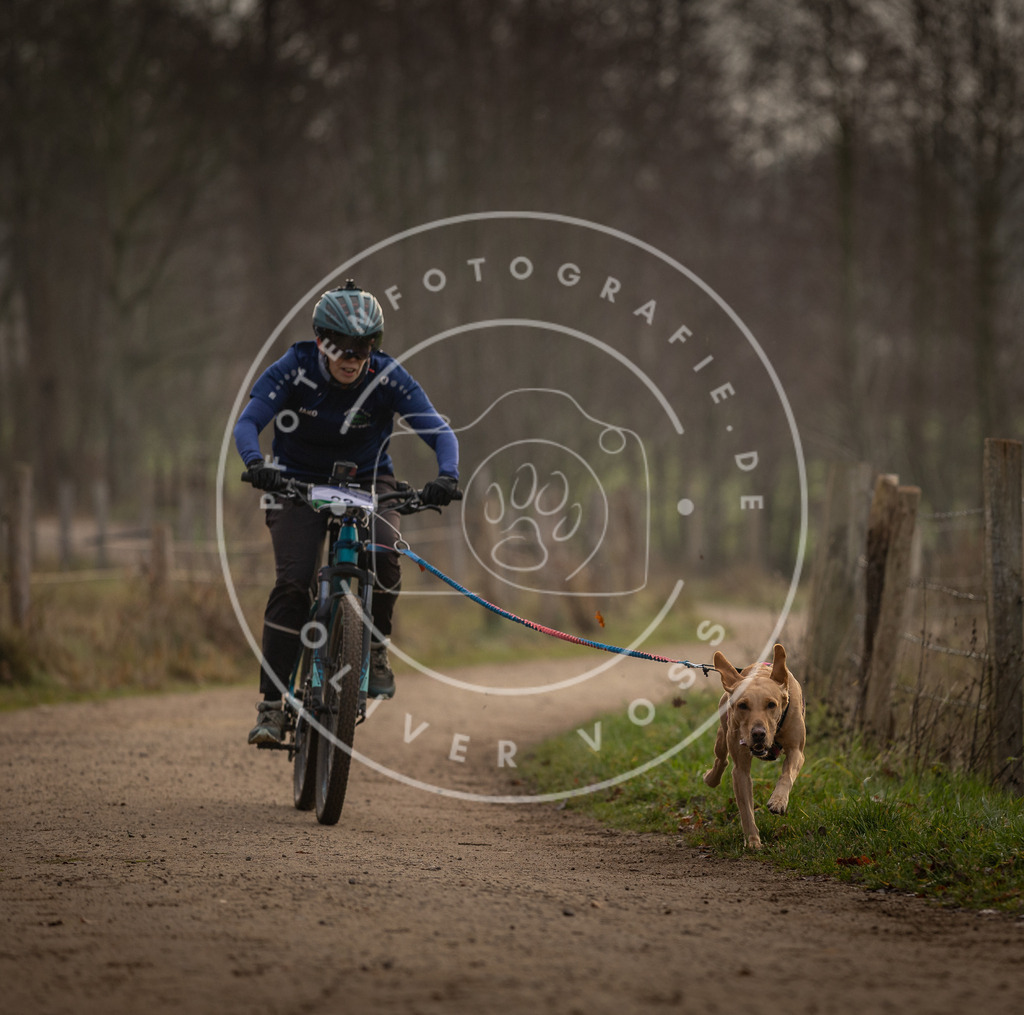 Pfotenfotografie_DV3A1958 | Hundefotografie, Tierfotograf, Pfotenfotografie, Fotoshooting Hund, Hunde Portrait, Hundesport, Hundeportraits, Heideshooting, Hunde, Sportfotograf, Hundefotograf, Turnierhundsport, THS,  - Realisiert mit Pictrs.com