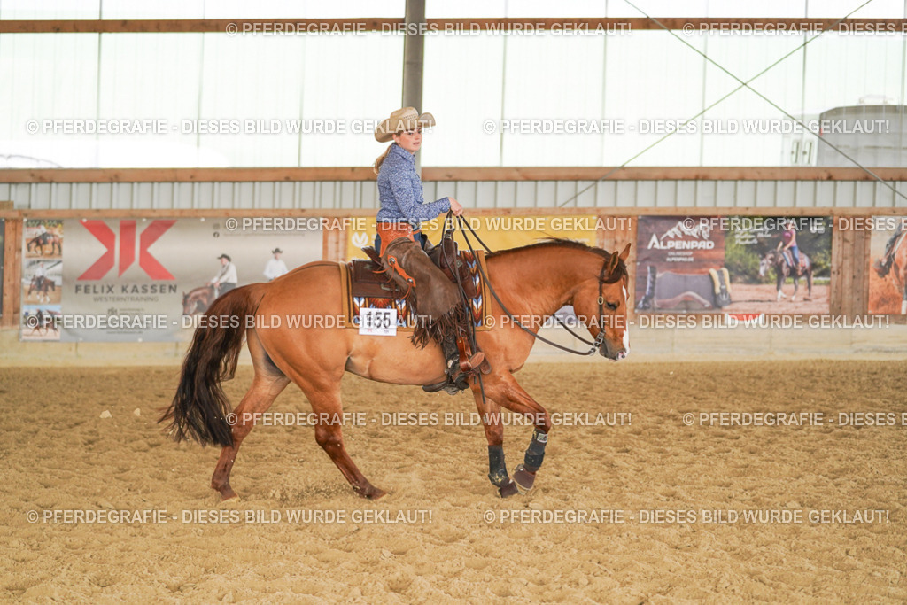 DSC01541 | Pferdegrafie