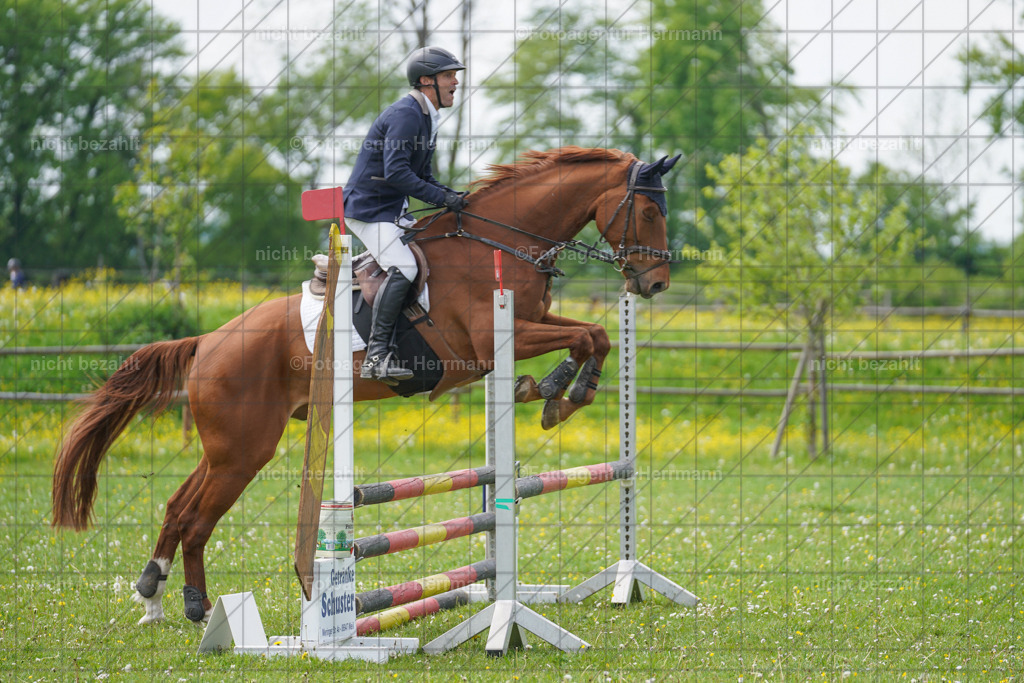 20240509-FAH02798 | Turnierbilder der Turnierfotografen Bayern, Pferdesport Fotografie, Reitsportbilder, Turnier Landberg am Lech, Turnierbilder bayern, Fotoagentur Herrmann