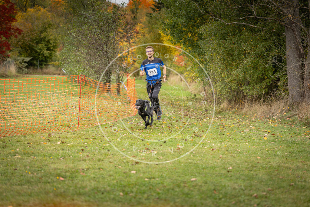 Pfotenfotografie_DV3A4337 | Hundefotografie, Tierfotograf, Pfotenfotografie, Fotoshooting Hund, Hunde Portrait, Hundesport, Hundeportraits, Heideshooting, Hunde, Sportfotograf, Hundefotograf, Turnierhundsport, THS,  - Realisiert mit Pictrs.com