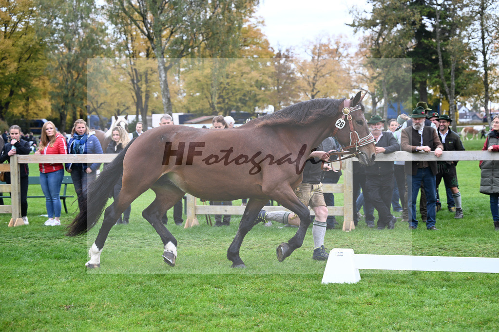 Kat-Nr. 26 Pipa II v. Regent_Kriechbaumer_41250665 | hf-fotografie - Realizzato con Pictrs.com