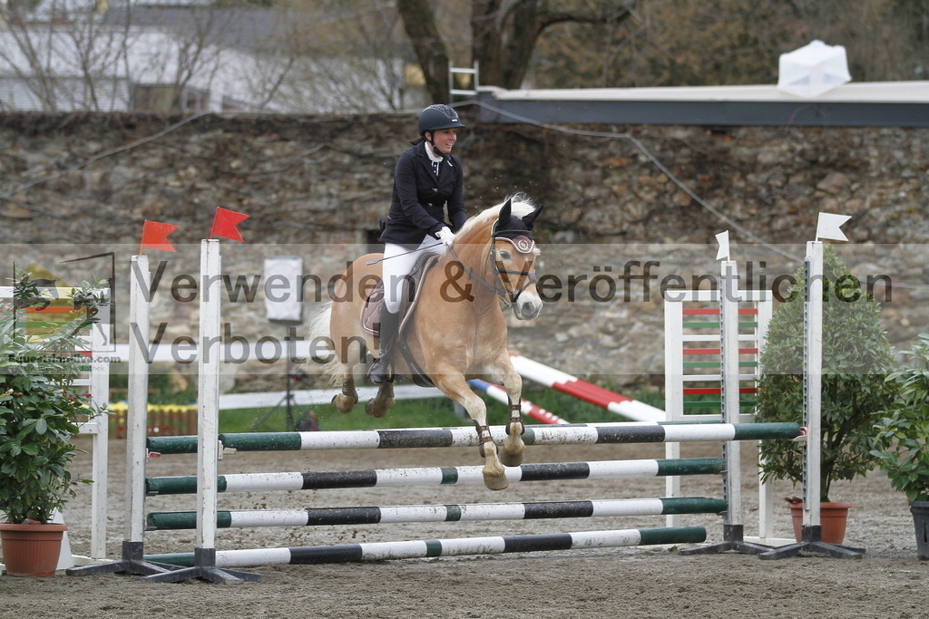 _MG_3536 | equestrian-live-com