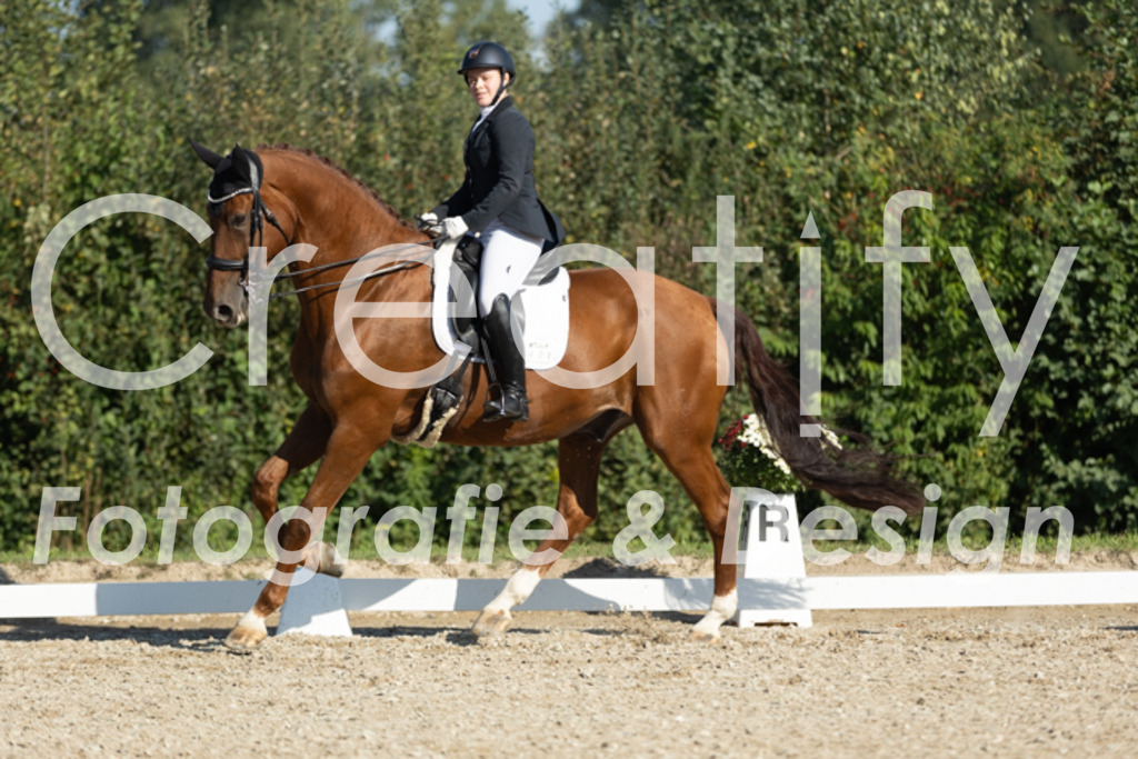 IMG_0636 | Creatify Fotografie