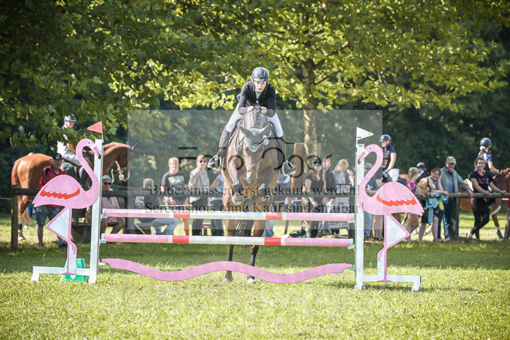 DOS_1078 | Entdecke hochwertige Reitturnierfotos von Foto Oger. Professionell, emotional und authentisch – jetzt Lieblingsmomente im Shop bestellen.Deutschlandweite Turnierfotografie. - Realisiert mit Pictrs.com