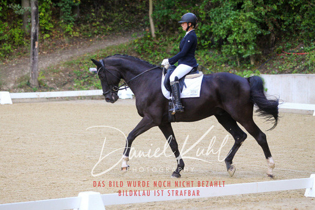 DKP41153 | Turniersportfotografie; Pferdefotografie; Dressurfotografie