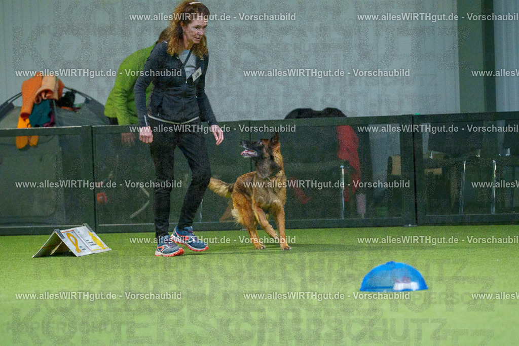 7R505632 | Professionelle Tierfotografie in Mönchengladbach von Daniel Wirth (allesWIRTHgut). Liebevolle & natürliche Bilder von Hunden & Katzen für unvergessliche Erinnerungen.