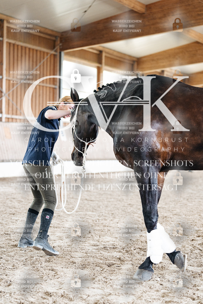 CK908151 | Turnierfotografie Pferdefotografie Trier Rheinland-Pfalz Pferdesport Reitsport Tierfotografie Sportfotografie Pferdevideo Pferdevideografie Equestrianvideography equestrianphotography  - Realisiert mit Pictrs.com