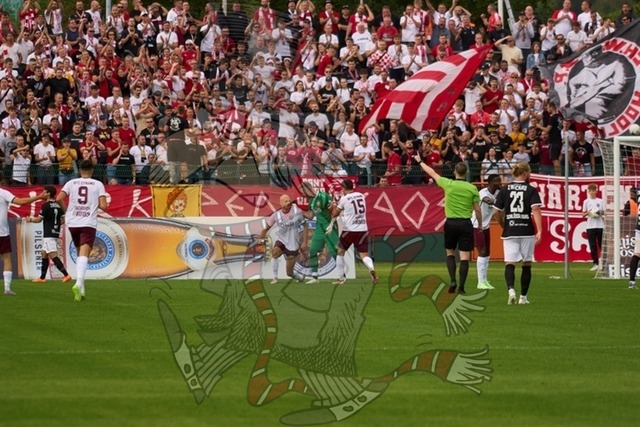 BFC Dynamo vs. FSV Zwickau  023 | mythos-online-redaktion