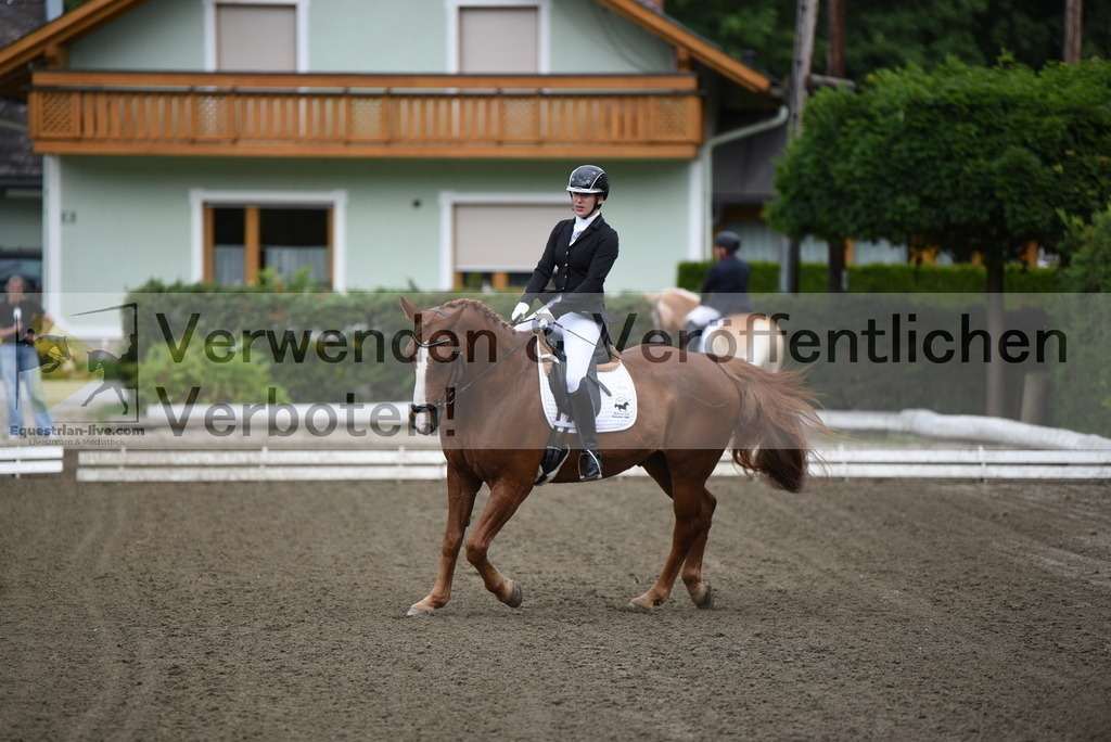 DSC_3651 | equestrian-live-com