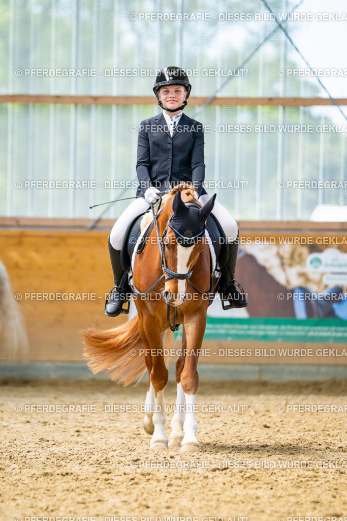 DSC09570 | Pferdegrafie