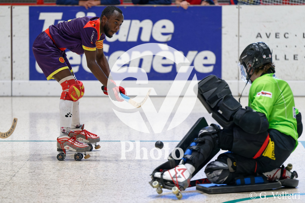 DSC_6581 | Velletri Photo