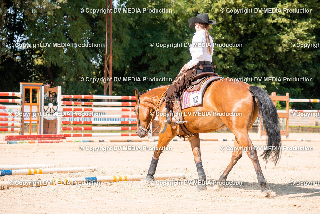 ZH100251 | dv-media-shop - Realisiert mit Pictrs.com