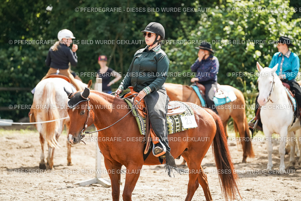 DSC06427 | Pferdegrafie