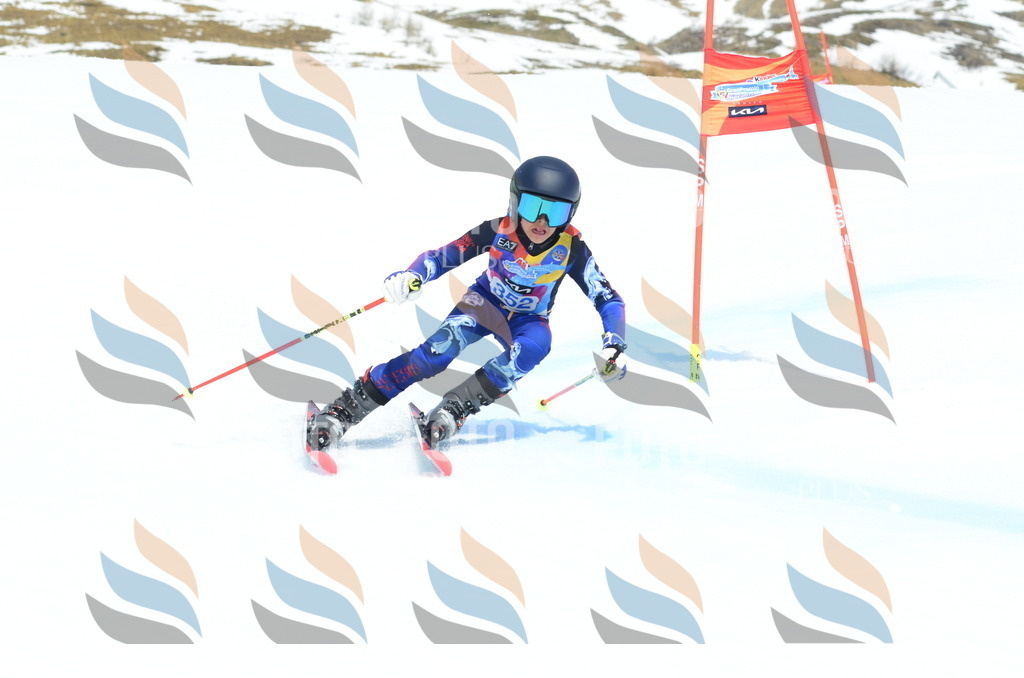 _ELE2702 | holidayphoto