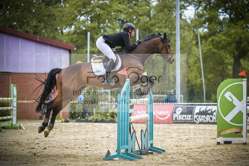 DOS_9767 | Entdecke hochwertige Reitturnierfotos von Foto Oger. Professionell, emotional und authentisch – jetzt Lieblingsmomente im Shop bestellen.Deutschlandweite Turnierfotografie. - Realisiert mit Pictrs.com