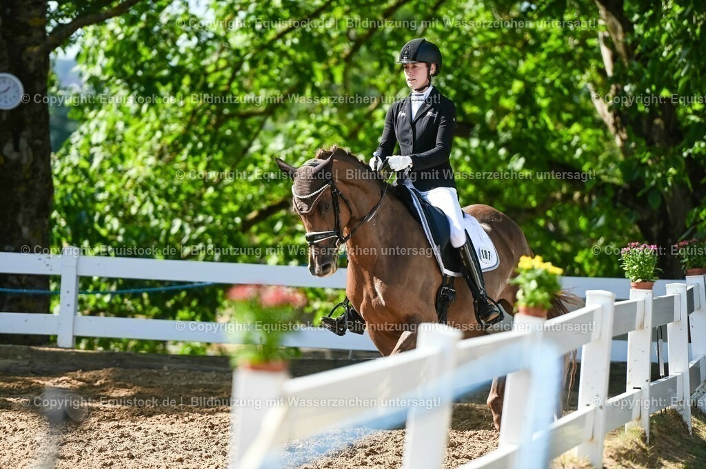 20230715_06_Dressurpferdeprfg. Kl.A_0427 | equistock