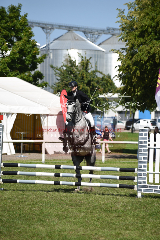 DSC_9523 | Pferde- und Turnierfotografie in Westsachsen. Pferdeportraits, Auftragszeichnungen und intuitive Kunst.