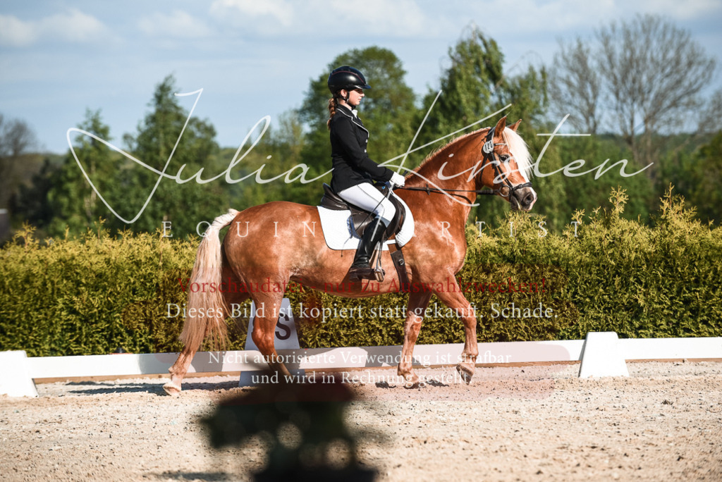 20230518_JK-Röhrsdorf-12-0886 | Pferde- und Turnierfotografie in Westsachsen. Pferdeportraits, Auftragszeichnungen und intuitive Kunst.