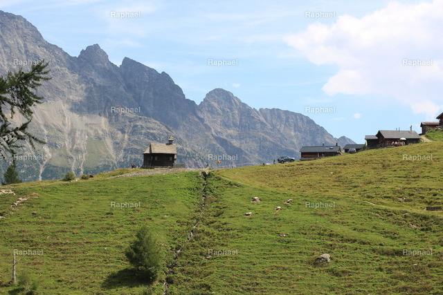 IMG_3319 | Raphael - Realisiert mit Pictrs.com