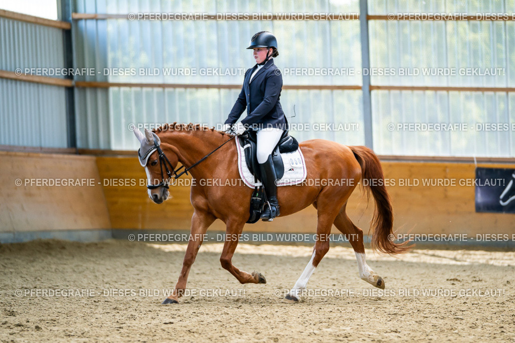 DSC05344 | Pferdegrafie