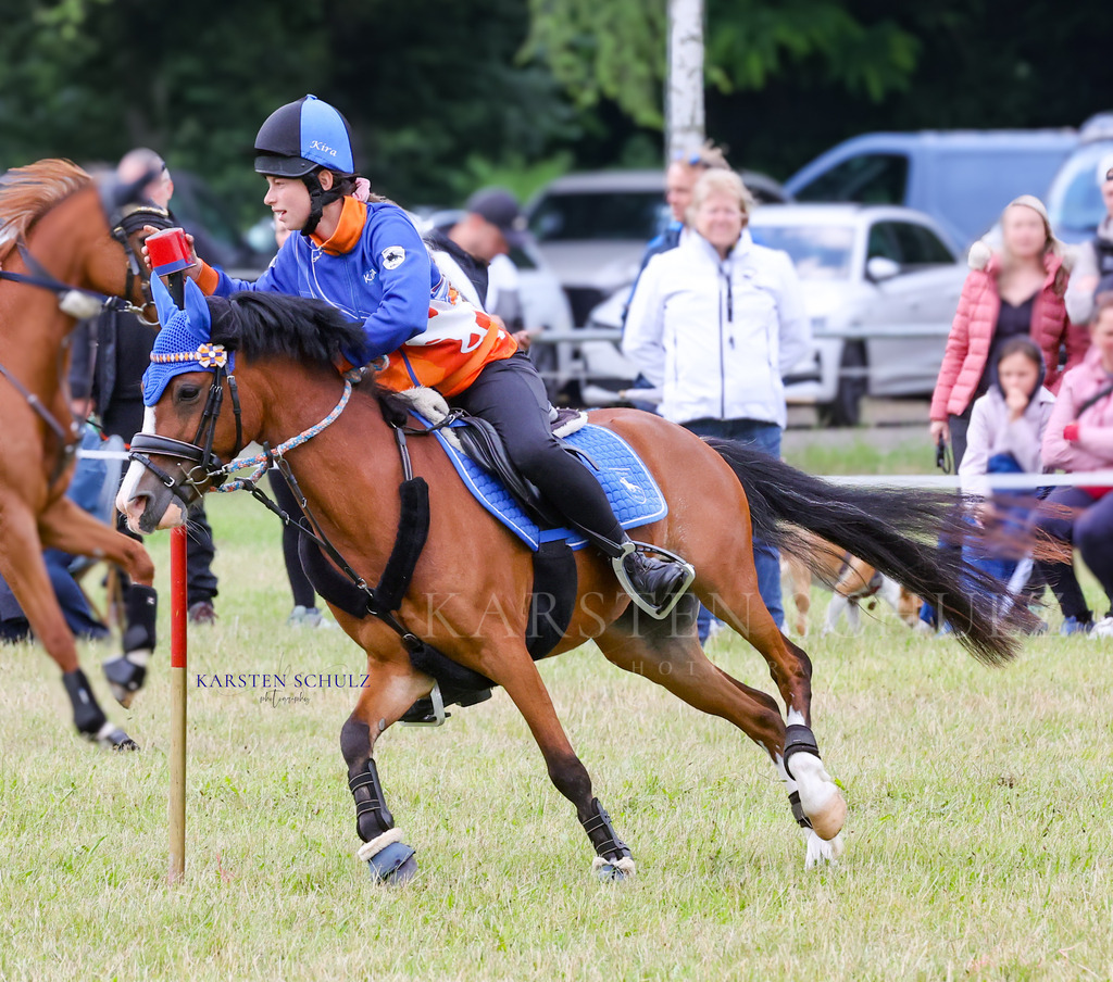 1B3A0969 | Reitsport Reiten