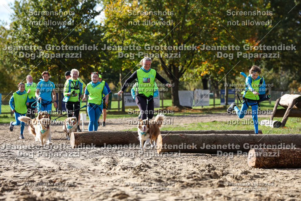 Dog Paparazzi - Strongdog 10-25-5578 | Dog Paparazzi Jeanette Grottendiek Fotografie & Videografie - Realisiert mit Pictrs.com