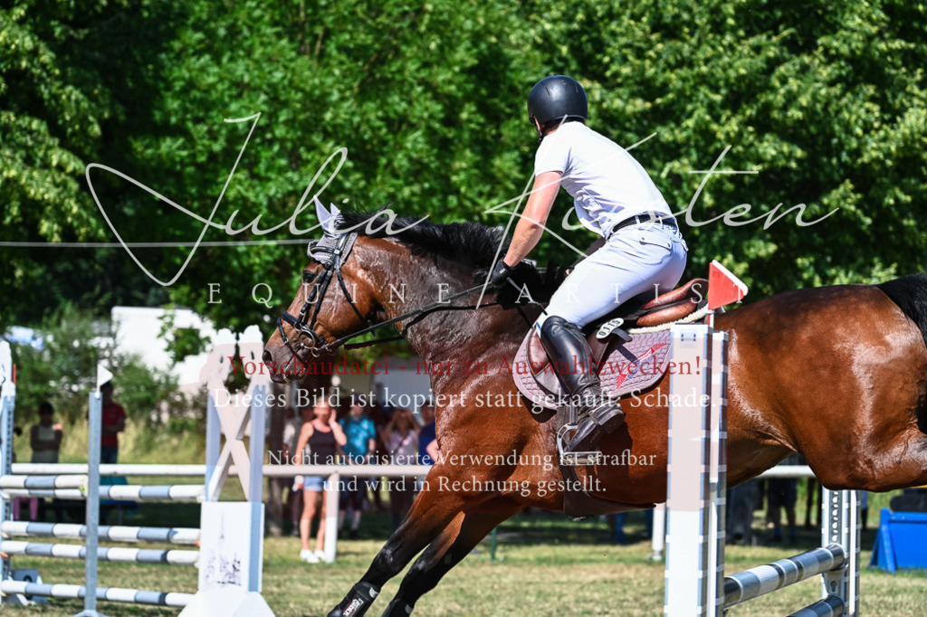 DSC_1668 | Pferde- und Turnierfotografie in Westsachsen. Pferdeportraits, Auftragszeichnungen und intuitive Kunst.