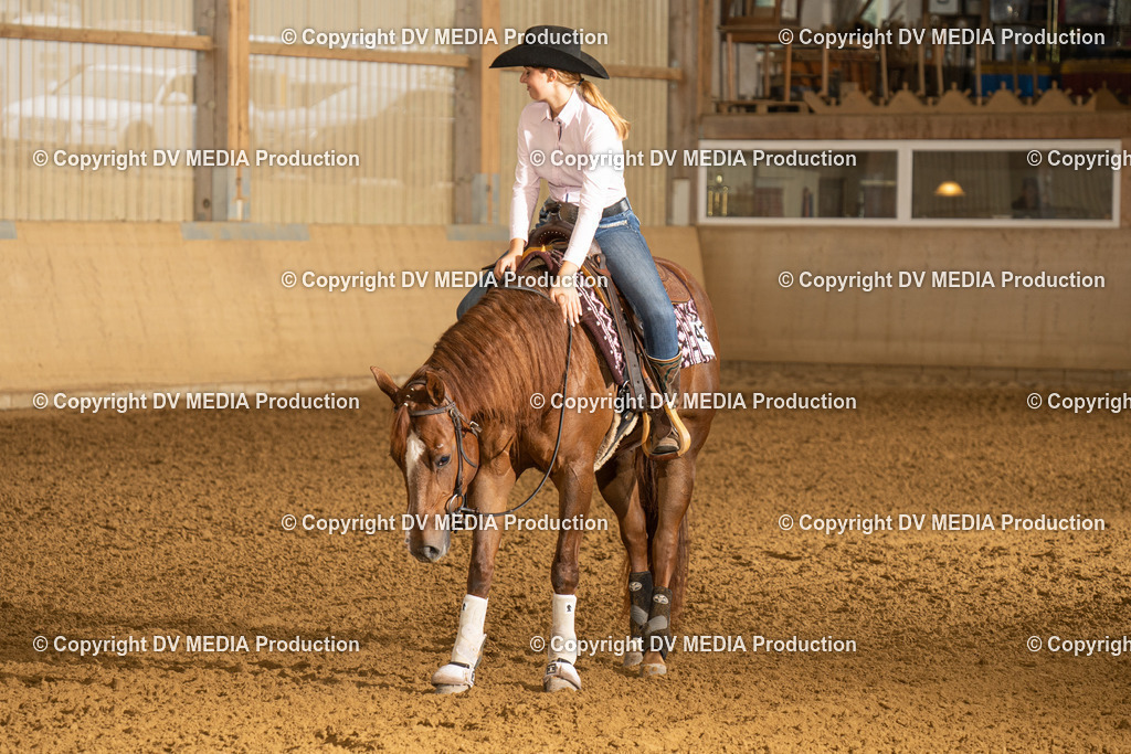 LAU00626 | dv-media-shop - Realisiert mit Pictrs.com