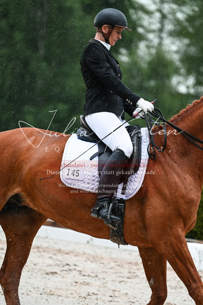 DSC_4411 | Pferde- und Turnierfotografie in Westsachsen. Pferdeportraits, Auftragszeichnungen und intuitive Kunst.