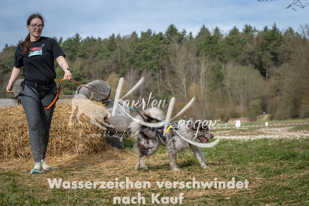 1052_ZZ94458 | kk-dogfotos