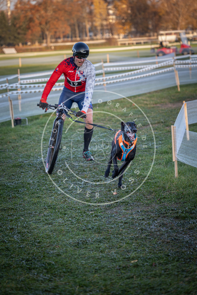 CaniXpix_0L8A1548 | Hundefotografie, Tierfotograf, Pfotenfotografie, Fotoshooting Hund, Hunde Portrait, Hundesport, Hundeportraits, Heideshooting, Hunde, Sportfotograf, Hundefotograf, Turnierhundsport, THS,  - Realisiert mit Pictrs.com