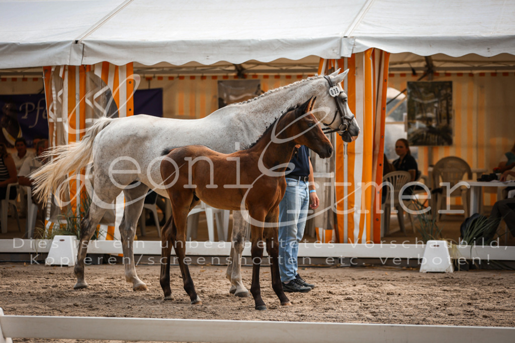 07.DoWBS00083 | Leoni Ertmer Photography - Realisiert mit Pictrs.com