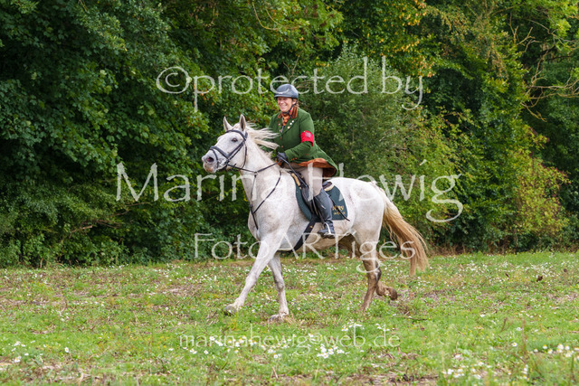 Jagd Perdoel 26 Sony-03701_MarinaHewig | Fotografie, FotoArt, PferdesportArt, Pferdesportfotografie, Landschaftsfotografie, Reisefotografie, Reise, Pferde - Realisiert mit Pictrs.com