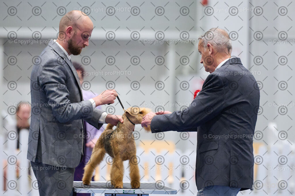 202406_ÖKV-IHA-Tulln24_DSC_3372 | proPHOTO - Realisiert mit Pictrs.com