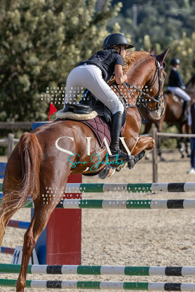 IMG_0187 | s-jay-photography - Realisiert mit Pictrs.com