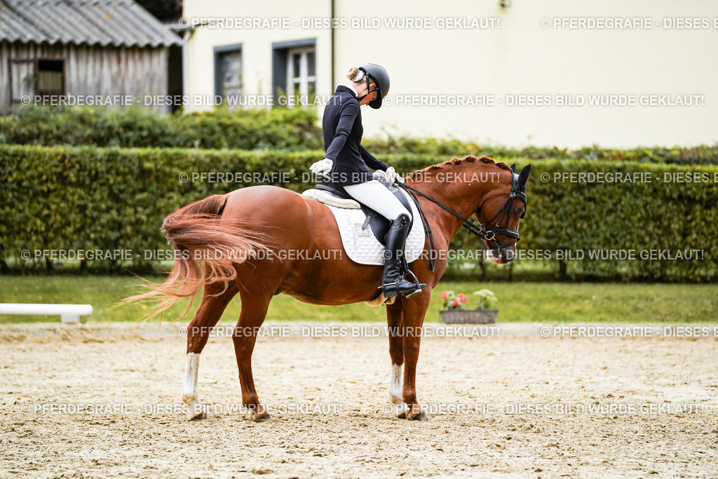 DSC08773 | Pferdegrafie