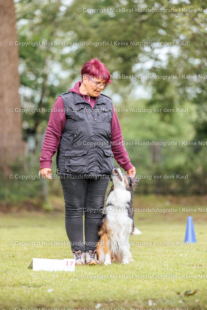 RO-Blumenthal-2026-Nickbest-Hundefotografie-2541 | Dein Hund! Dein Moment! Deine Erinnerungen! Hundefotografie in Bremen Blumenthal. Ich fange die besonderen Momente deines Vierbeiners ein – ob Indoor mit Blitzanlage oder in der freien Natur. Sicher dir dein Moment und dein Termin für eure Erinnerungen.
