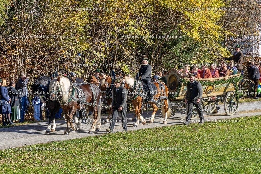 LBT25-741 | foto-bettina-krinner - Realisiert mit Pictrs.com