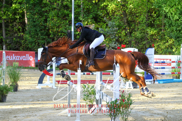 DKP42639 | Turniersportfotografie; Pferdefotografie; Dressurfotografie