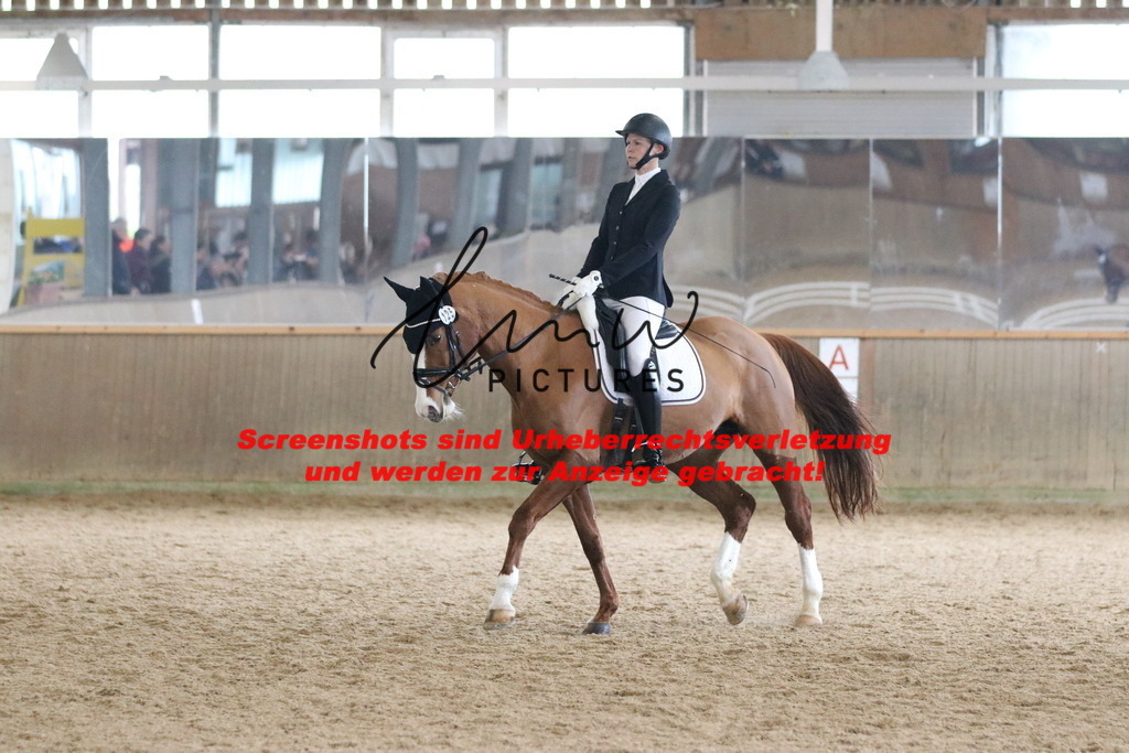 IMG_8316 | lmwpictures - Realisiert mit Pictrs.com